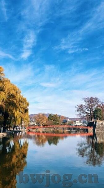 日韩av一区在线-日韩AV一区在线，网络文化中的特殊现象与影响