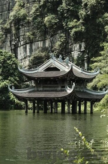 色干人妻-探索人妻的色彩与坚韧——生活中的另一番风景