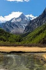 在线视频亚洲视频中文字幕-探索亚洲在线视频的中文字幕，文化桥梁与语言便利的融合